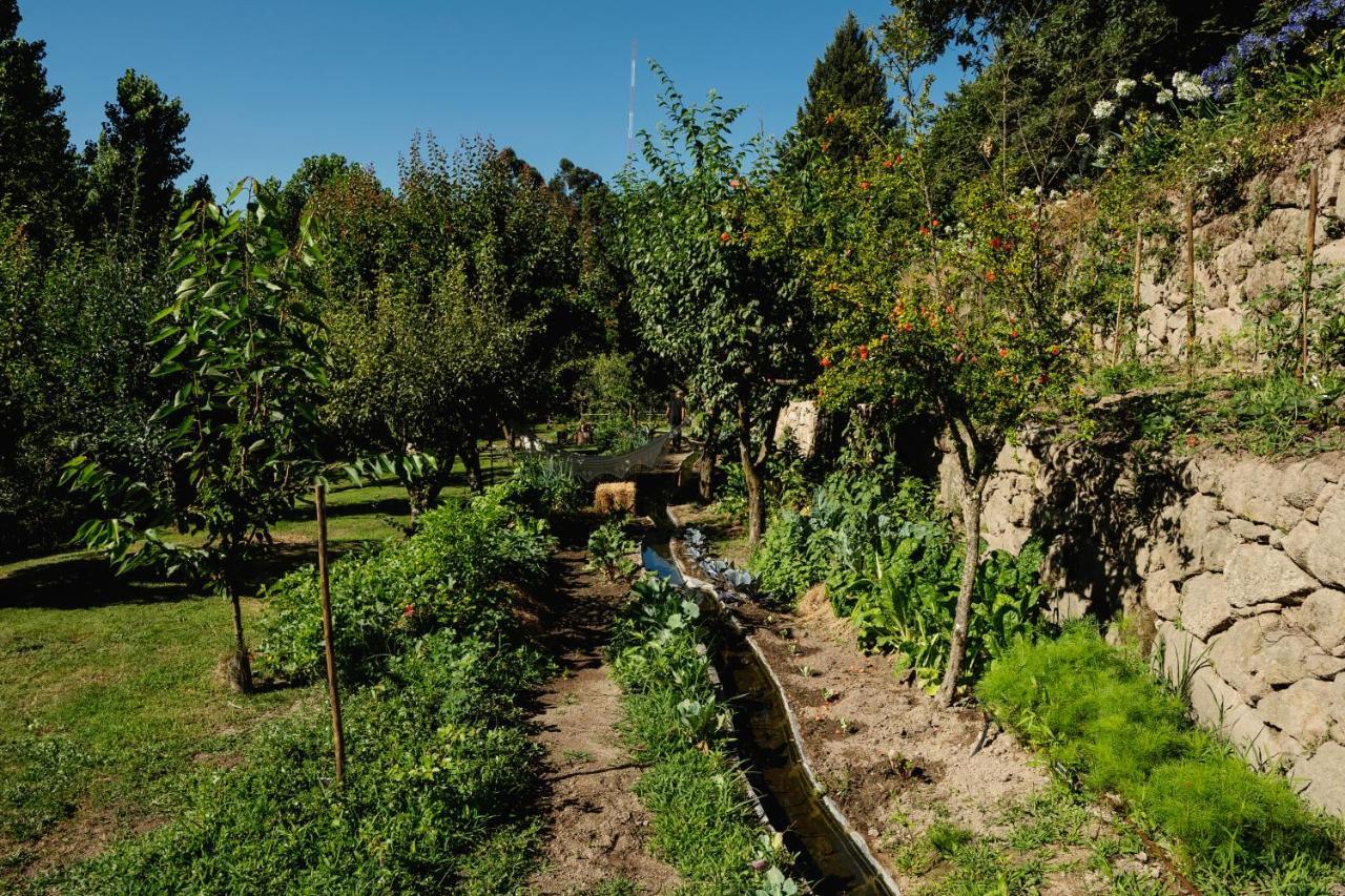 Casa Agricola Da Levada Eco Village Vila Real Exterior foto